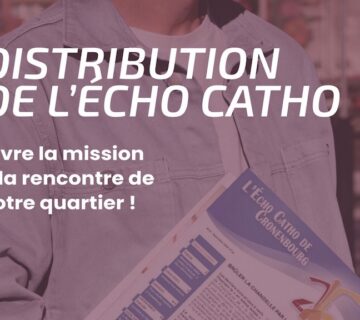 DISTRIBUTION EC SITE 360x320